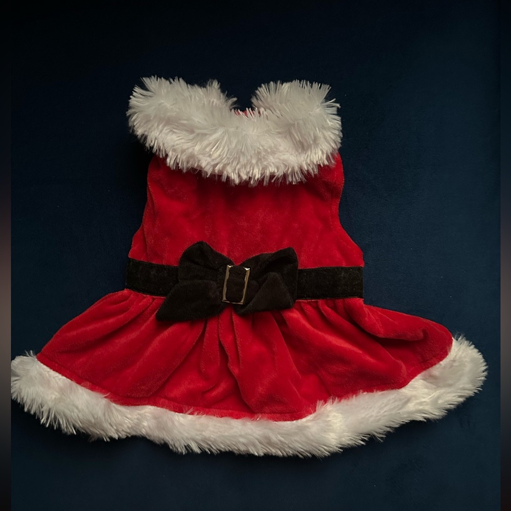 Christmas dog dress